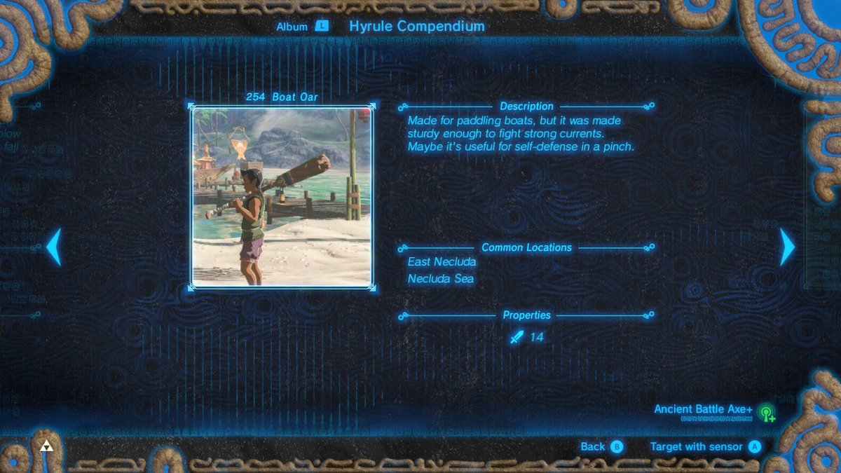 AcMadagascar's tweet photo. #BreathoftheWild #NintendoSwitch https://t.co/CObvvcIveL