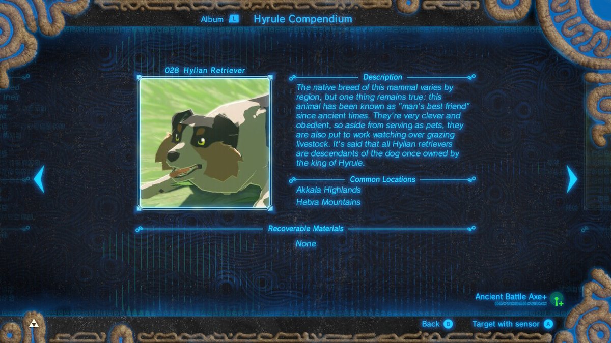 AcMadagascar's tweet photo. #BreathoftheWild #NintendoSwitch https://t.co/tLlfNTGc5m