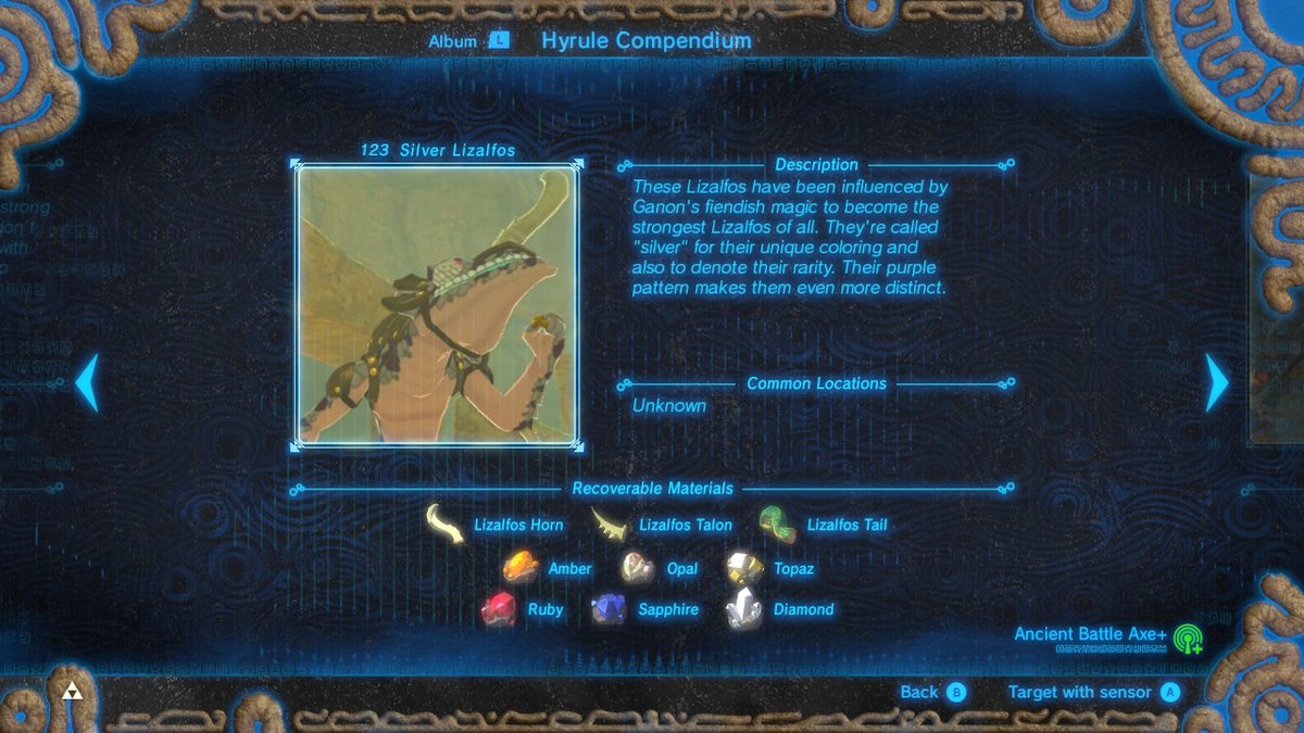 AcMadagascar's tweet photo. #BreathoftheWild #NintendoSwitch https://t.co/X0djhovM14