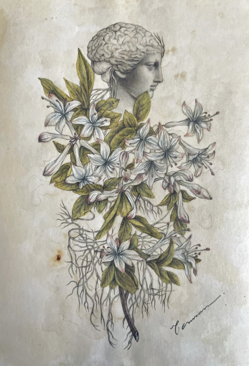 〝遠い記憶〟🧠

terusan.thebase.in