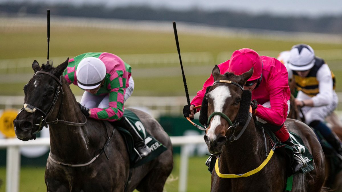 rpbloodstock's tweet photo. 'We couldn't have a Galileo, it would need three legs for us to afford it'
Aisling Crowe speaks to the people behind Tattersalls Ireland Breeze-Up cover star Layfayette
The Bloodstock Big Read with Members' Club Ultimate is live now
π
https://t.co/tbvaju5sEA https://t.co/RkSaxymIgs