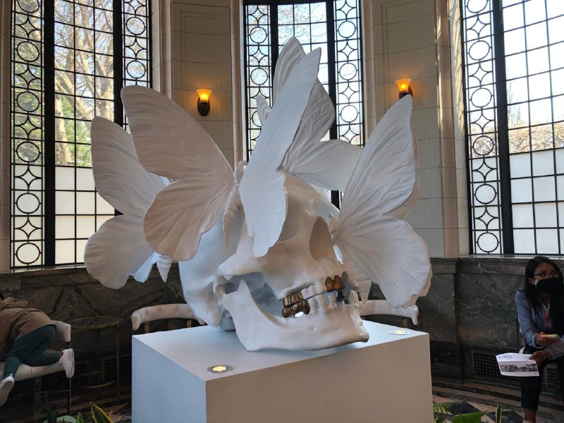 “I exist in two places, here and where you are.”