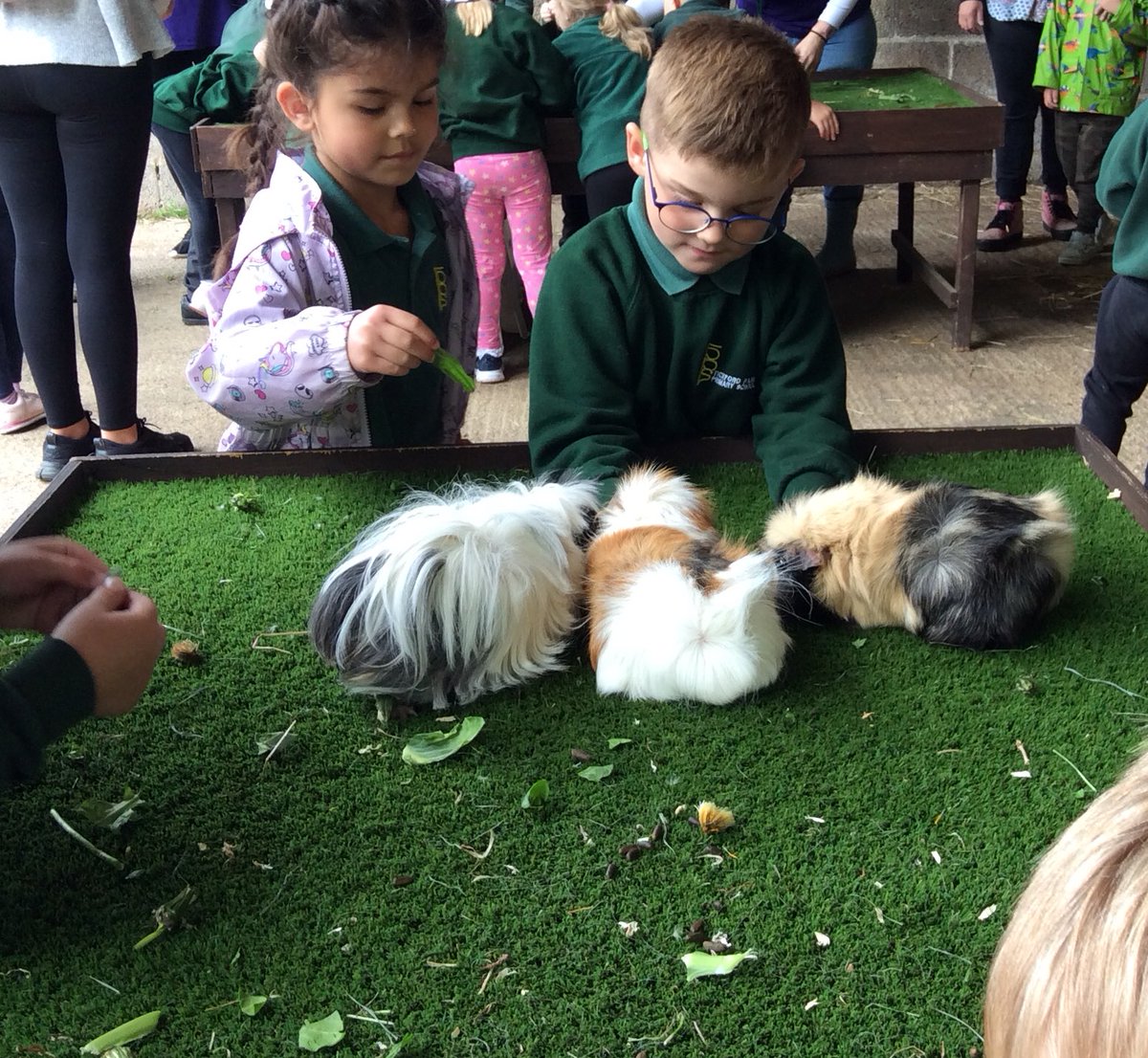 TickfordPark's tweet photo. #TPFoundation
We are enjoyed our farm trip this week! Super behaviour was shown by all the children who were Ready, Respectful and Safe whilst they enjoyed naming, petting and feeding the animals on our visit. https://t.co/EzsD1TjOB7