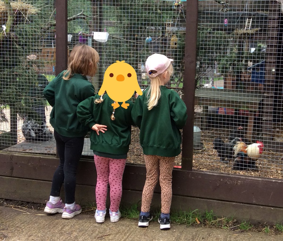 TickfordPark's tweet photo. #TPFoundation
We are enjoyed our farm trip this week! Super behaviour was shown by all the children who were Ready, Respectful and Safe whilst they enjoyed naming, petting and feeding the animals on our visit. https://t.co/EzsD1TjOB7