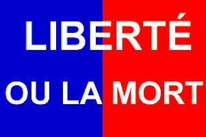 BroIzzy's tweet photo. Aprè kongrè ki te fini 17 me 1803 zansèt nu yo t fini pa antann yo sou koulè e dispozisyon drapo gè nu an ki se ble e wouj sans vètikal. Se la nou ta pral gen yon senbòl pou te ka arive bay istwa n koulè.
Yon pèp ki bliye istwa l se yn pèp ki fè chwa pou l pa fè yn pa avan https://t.co/L6JoexZNv1