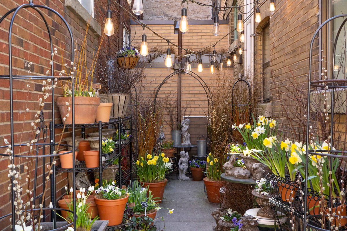 This once neglected corner of Galt has been remodeled into a garden in an alley! A perfect setting for photoshoots including wedding photography, or even a selfie! Stop by Cambridge School of Flowers at 1 Water Street North! 💕
#DTCbridge #GaltLove #📸 @cityofcambridge
