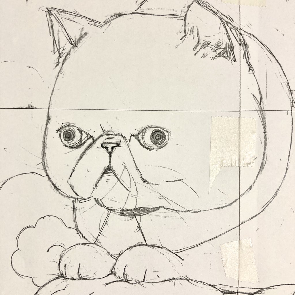 思ったより、
顔が可愛い感じになってきた。 