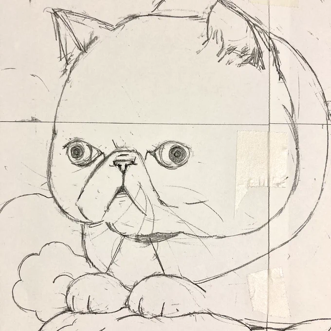 思ったより、
顔が可愛い感じになってきた。 