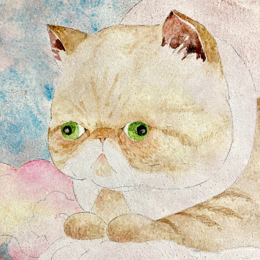 思ったより、
顔が可愛い感じになってきた。 