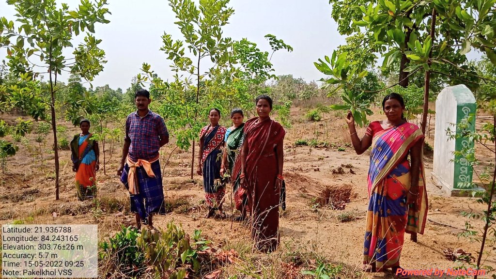 DFOJharsuguda's tweet photo. Such good #productive #forest regenerated due to active #participation of #VSS members in forest #protection.
#Patrolling
#JointForestManagement
#OFSDP
@ForestDeptt https://t.co/V8wsyodEtQ