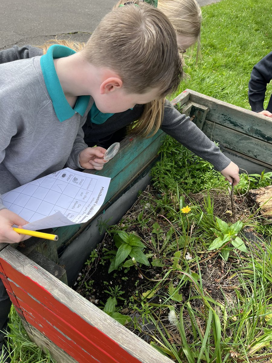 MissPaterson9's tweet photo. Outside today exploring mini beats habitats 🕷🐝🐛🪰 https://t.co/SmkKoEM4v4