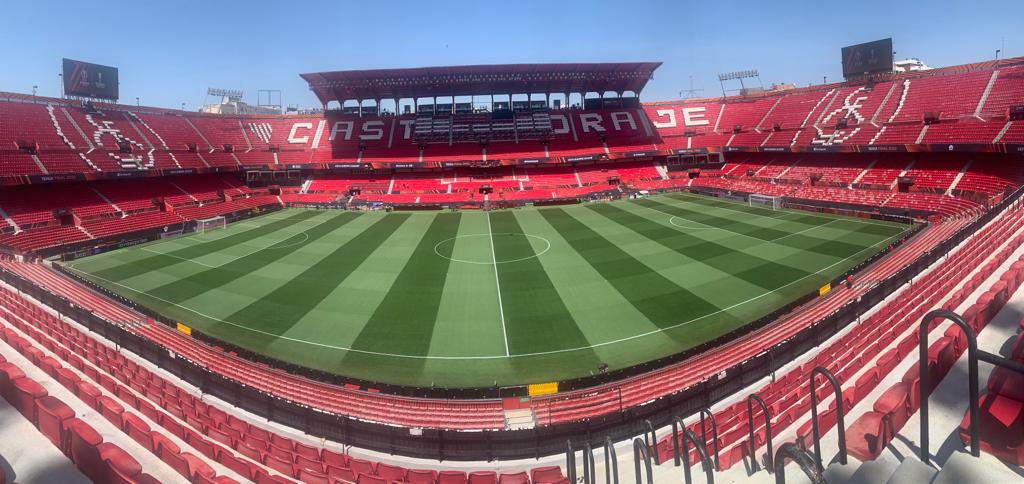 Proin Turf tweet media