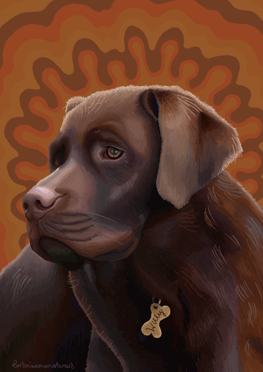 commissioned #pet portrait of a cute brown Labrador 💕