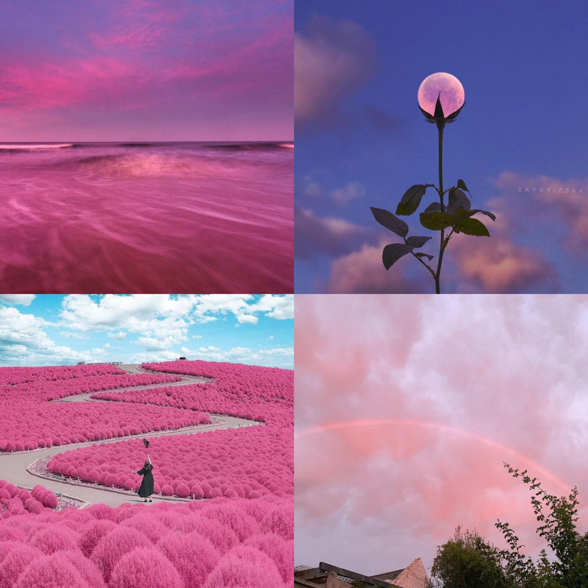 ` (@pinksare4) / Posts / X
