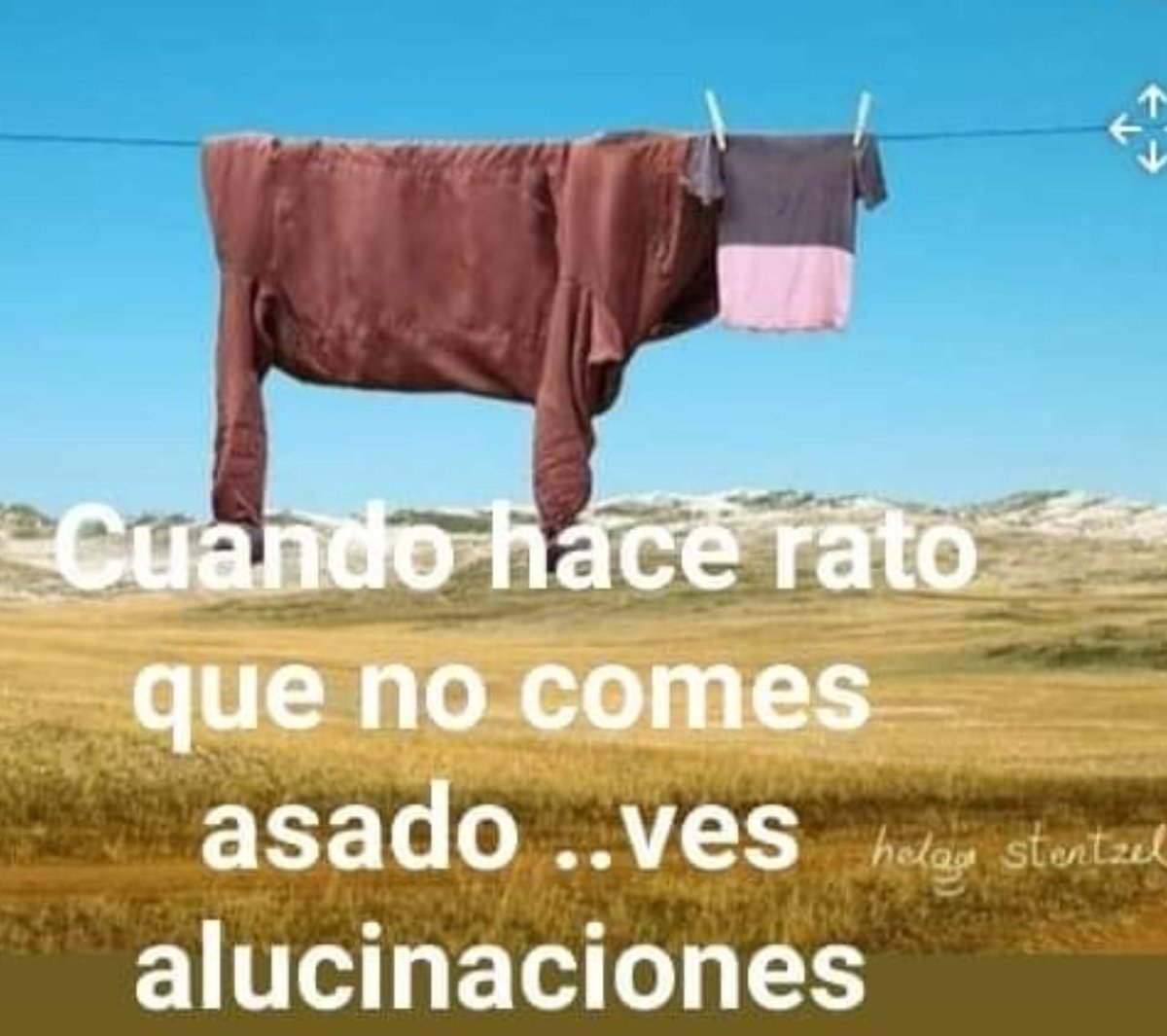 🇦🇷 RoberCuervo 🇦🇷 tweet media