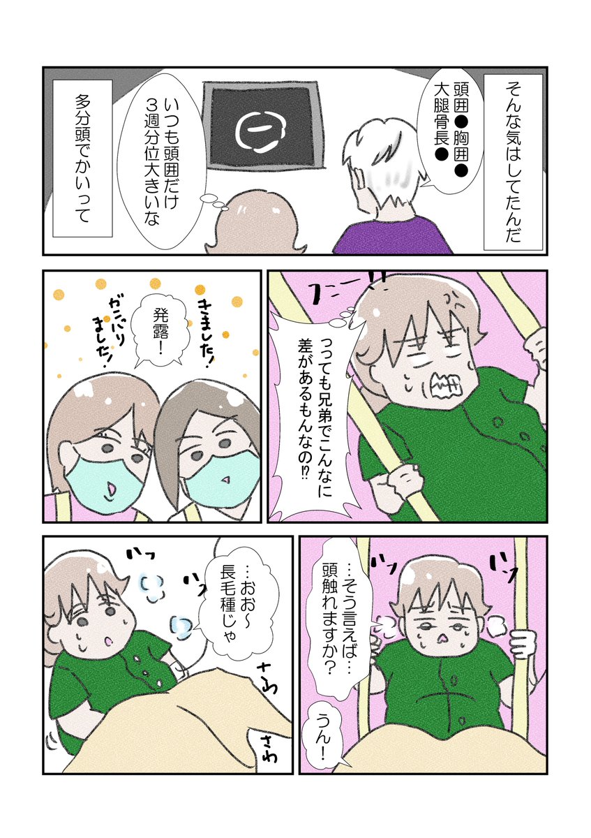 次男がうちにやってくるまで~出産編⑦~
総じて二人目の出産の方が痛かったです😇
一人目の時は叫ばなかったもん
#漫画が読めるハッシュタグ #出産レポ