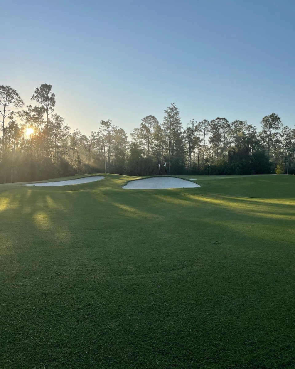 TiburonNaples's tweet photo. Happy 🐫 day! The only place to be in #naples #swfl for a Stay and Play package. Call 877 557 3092 to book your next @troon @RitzCarlton “Ultimate Golf Experience”! The only facility in the 🌎 to host #3tours#3months Its what we do. #lpga #pga #champions #playtroon #bekind https://t.co/nNeB95NFk7