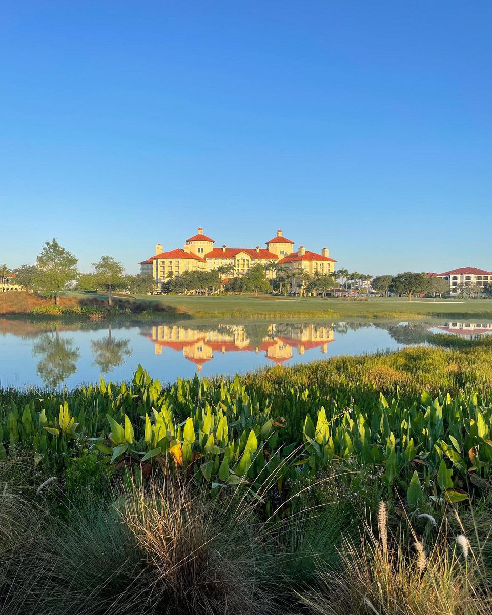 TiburonNaples's tweet photo. Happy 🐫 day! The only place to be in #naples #swfl for a Stay and Play package. Call 877 557 3092 to book your next @troon @RitzCarlton “Ultimate Golf Experience”! The only facility in the 🌎 to host #3tours#3months Its what we do. #lpga #pga #champions #playtroon #bekind https://t.co/nNeB95NFk7