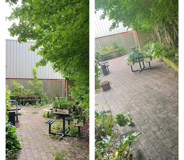 CovMS's tweet photo. The lovely staff from @CadentGasLtd volunteered at the centre Monday to give our garden a well needed tidy up! The team cut back the overgrowth, dug out weeds, swept the floor and tidied up the flower beds! A huge thank you to the team and @nbrly #charity #volunteer #community https://t.co/aTWZXrZkwX
