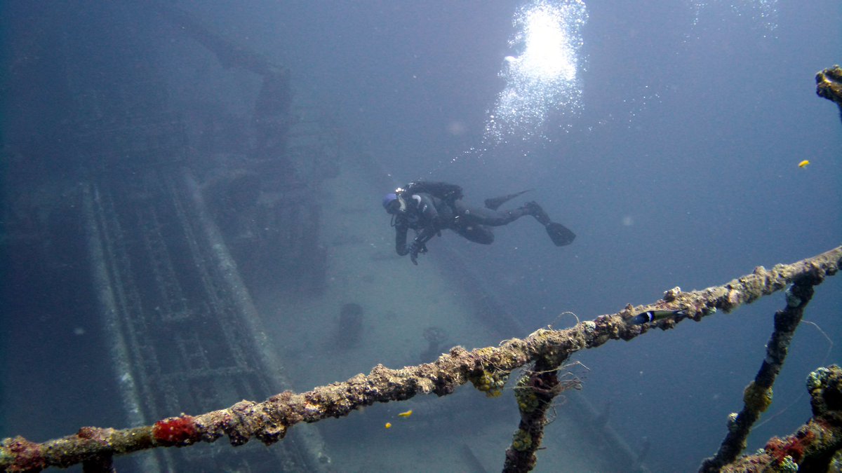 aquaticventures's tweet photo. Wreck, Reef, Deep, Beach, dives are your favorite? #protip #aquaticventures #tusa #diverite #scuba #scubadiving #learnscuba #learntodive #fortlauderdale #sdi #fortlauderdalebeach #saltlife #padi https://t.co/rc8SAekeK5