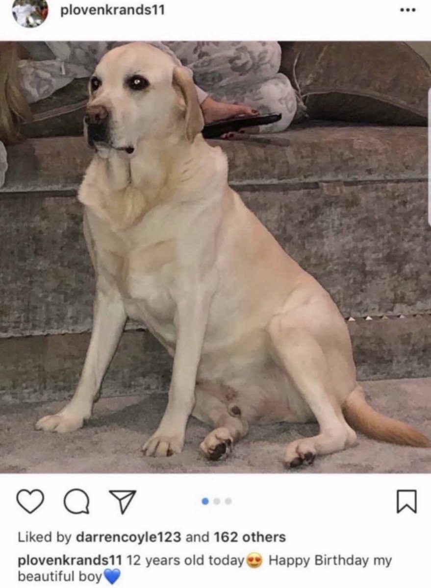 football that didn’t go according to plan tweet media