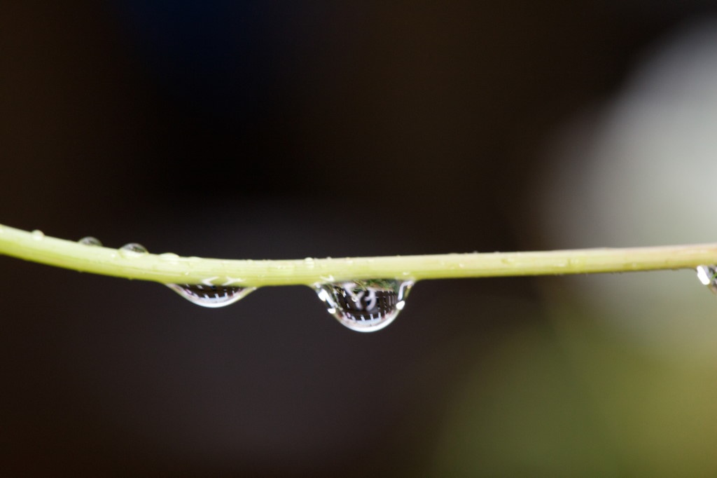 Une fille du lab ⚡️ tweet media