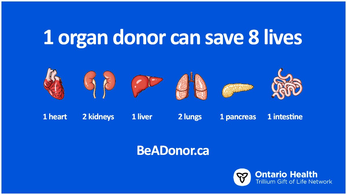 Have you ever wondered how 1 organ donor can save 8 lives? If found to be medically suitable, transplant teams will try to match your heart, liver, intestine, pancreas, as well as both kidneys and lungs with waitlist patients. Register at BeADonor.ca