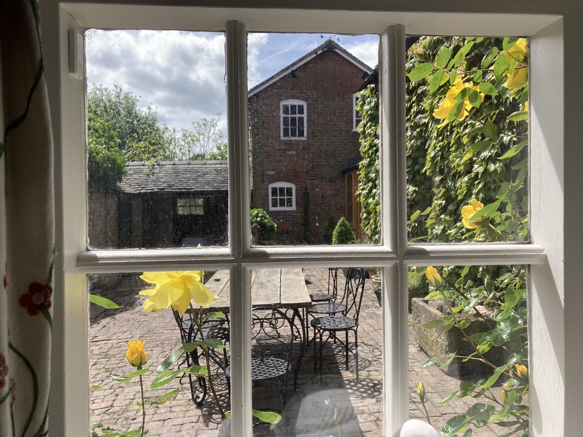 theveindoc's tweet photo. #ViewFromTheLoo What a lovely day. https://t.co/W1FcQriam3