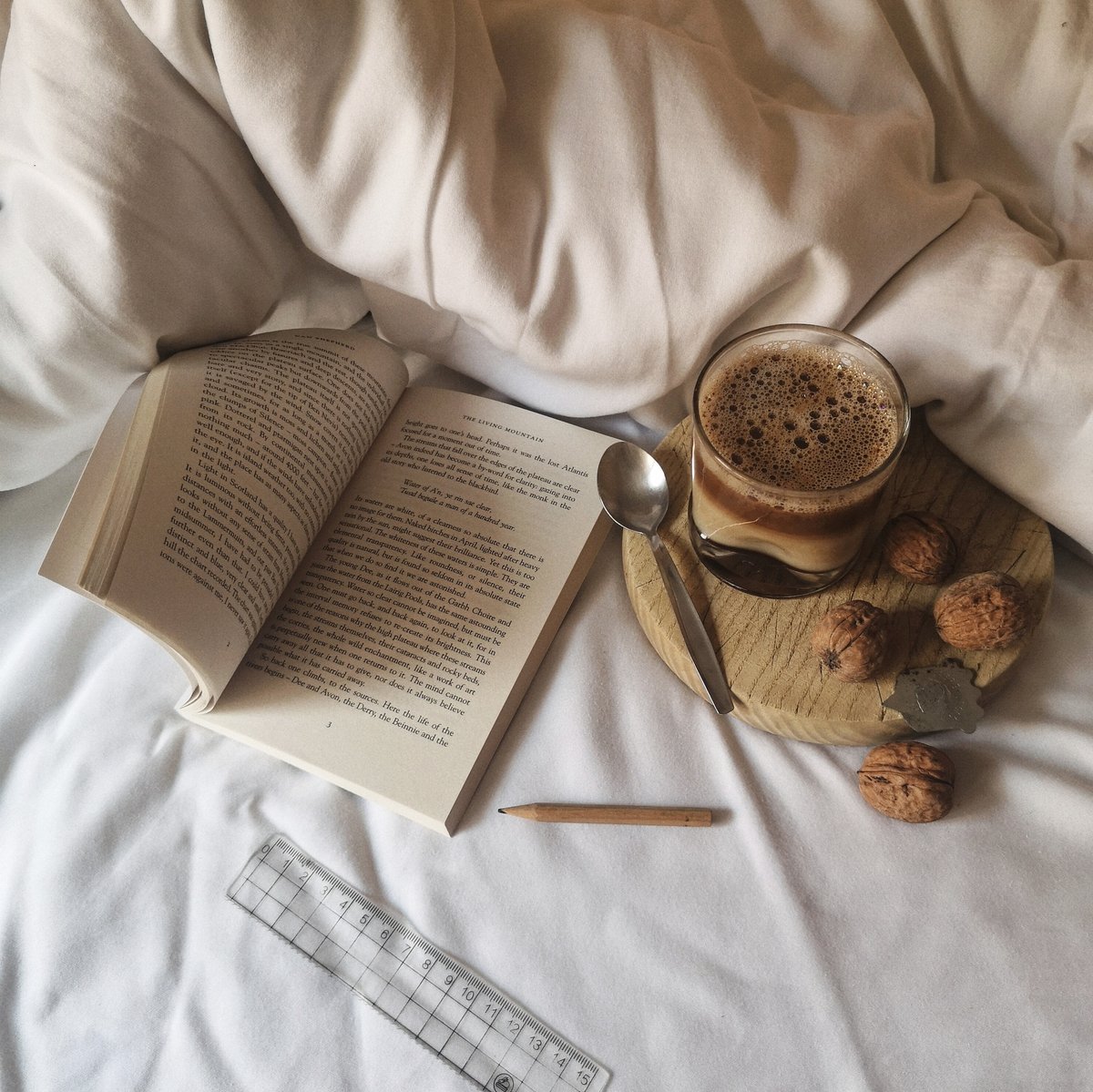 librofilos's tweet photo. Buen día librófilos https://t.co/XCf0nClLxL