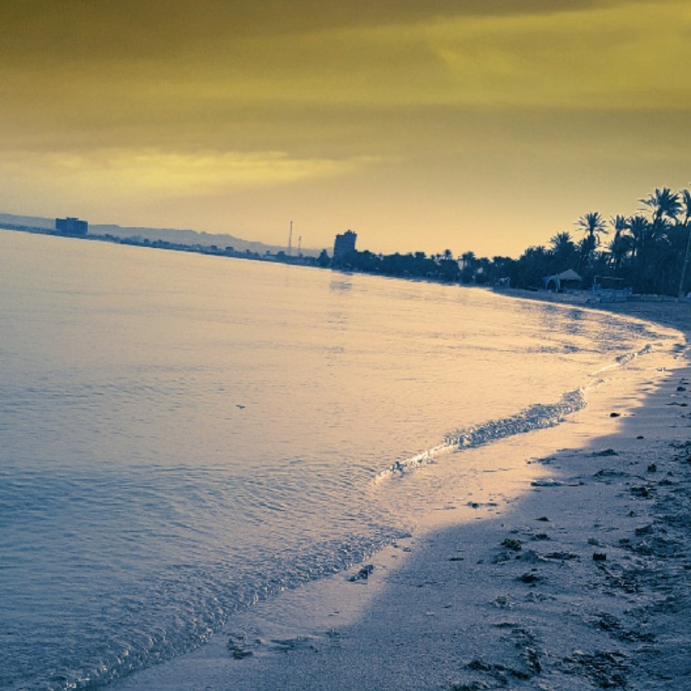 صدى الحنين tweet media