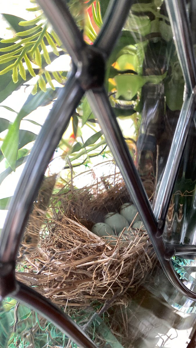 It’s so easy to get overwhelmed with the end of the school year chaos. Never ending to do lists, EOG review, cleaning up, saying goodbye..

What’s something out of your norm that made you happy recently? For me, it’s the discover of a nest in the wreath on my front door 😍🐣