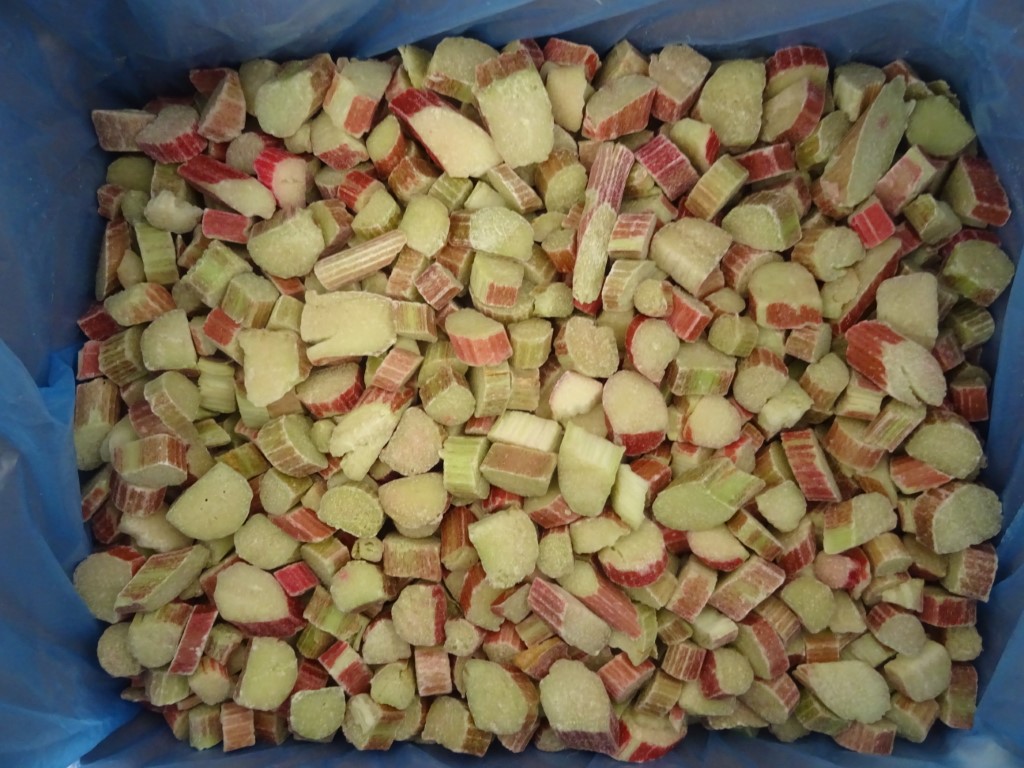 PlaceLtd's tweet photo. We have had another successful rhubarb harvest this year, with the stems having been cut, graded and frozen for food manufacturers. We have also been planting different varieties to look out for; Stockbridge Arrow, Livingstone and Goliath #rhubarb #newseason https://t.co/9p8AGcsVac