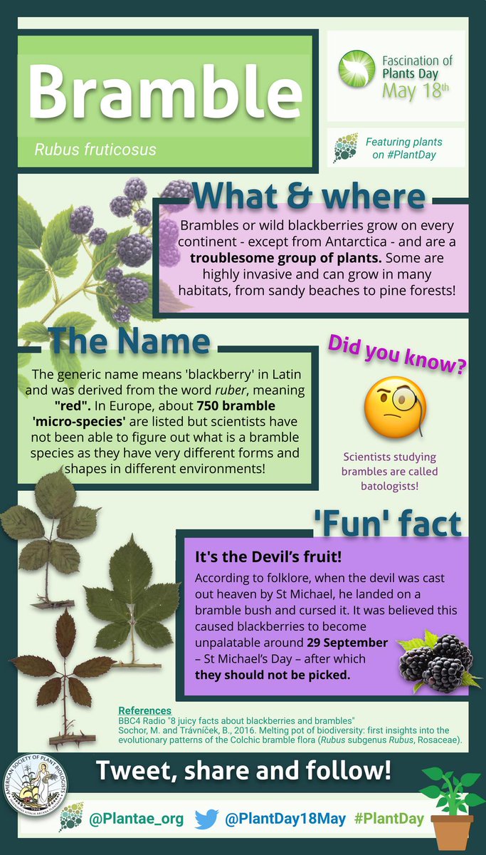 Juniper Kiss 🇪🇺🌿👩‍🔬 tweet media