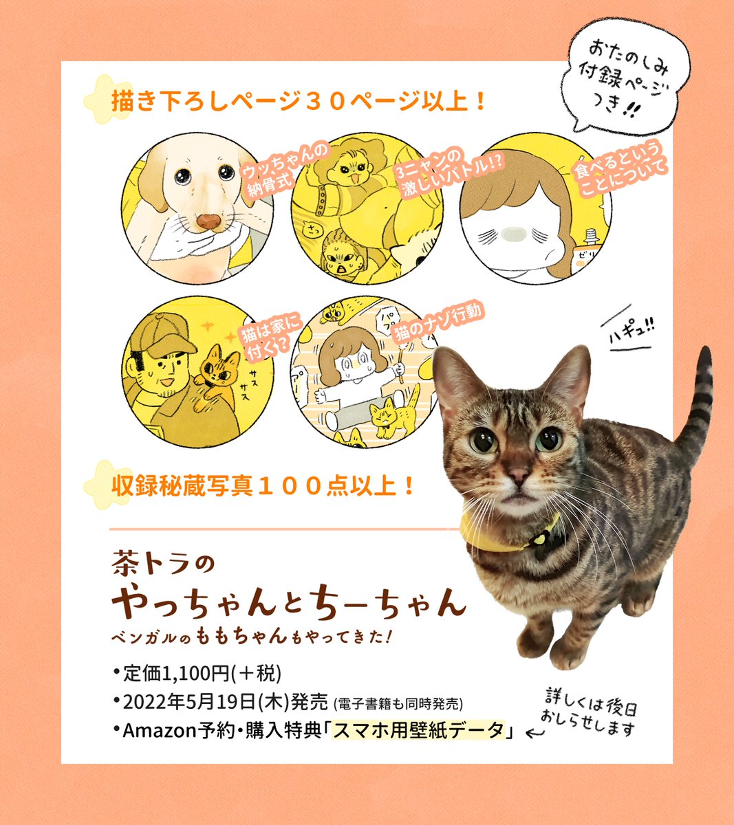 3巻『茶トラのやっちゃんとちーちゃん〜ベンガルのももちゃんもやってきた!〜』発売まであと1日🐱書店によってはもう並んでるかも?
2022年05月19日木曜日発売(電子書籍も同日発売)
定価1,100円(税別)
Amazonで予約・購入するとスマホ用壁紙3種がもらえます🎁
予約・購入↓
https://t.co/Le5znzy7CE