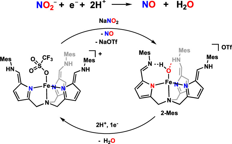bhkenlo's tweet photo. Secondary Coordination Sphere Influences the Formation of Fe(III)-O or Fe(III)-OH in Nitrite Reduction: A Synthetic and Computational Study https://t.co/lPqocVINjM García-Melchor, Fout, & co-workers @InorgChem #iron #nitrite #nitricoxide #nonheme #bulk #acidity #oxo #hydroxo #DFT https://t.co/pfPwcC2ZiY