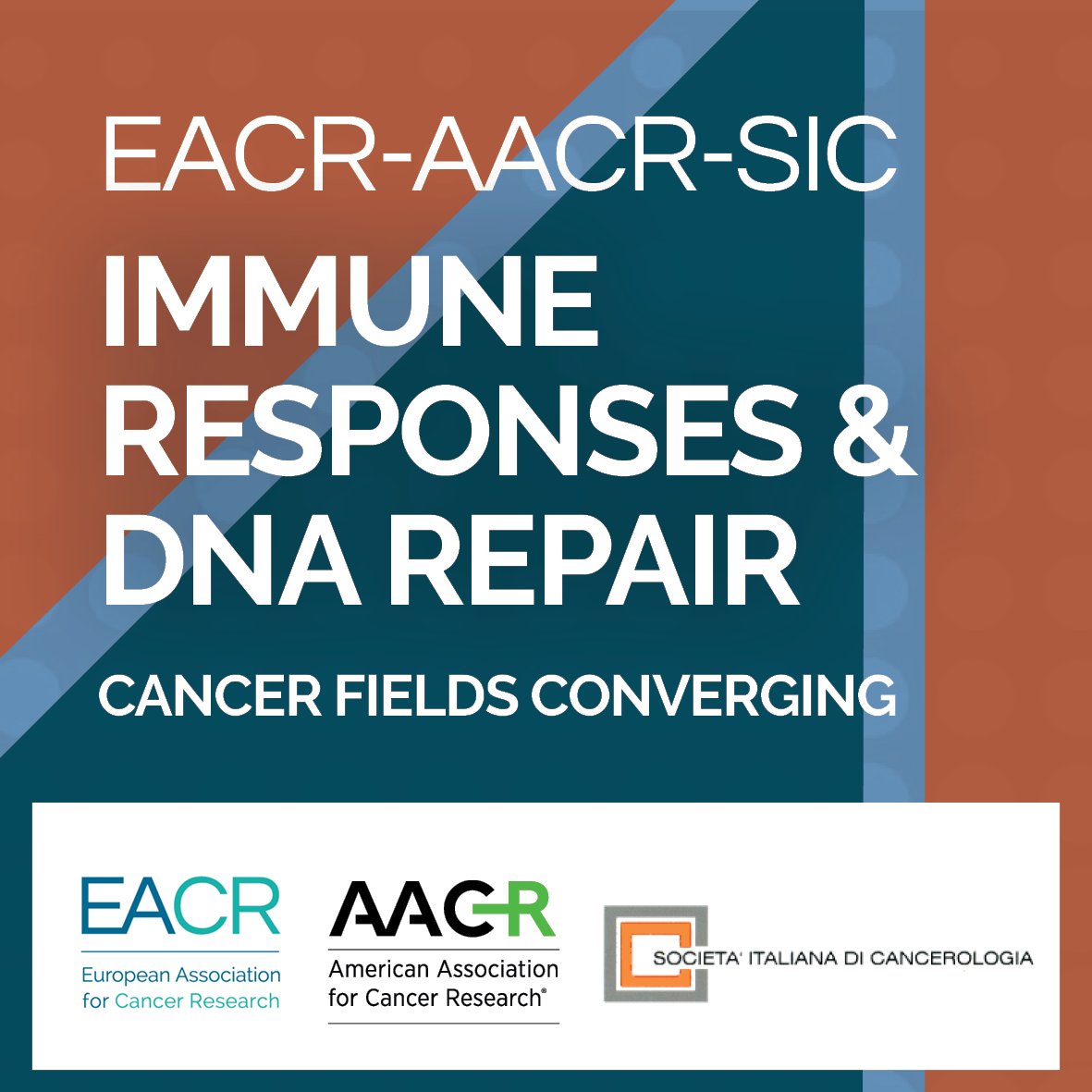 EACRnews's tweet photo. 🔧 Announcing our new joint conference on Immune Responses &amp; DNA Repair! We've teamed up with @AACR and SIC to present "Immune Responses &amp; DNA Repair - Cancer Fields Converging" in Florence, Italy, 15 - 17 March 2023. More info: https://t.co/XzJrx43Zgo #immuneresponses #DNArepair https://t.co/OiZyrCM7OB