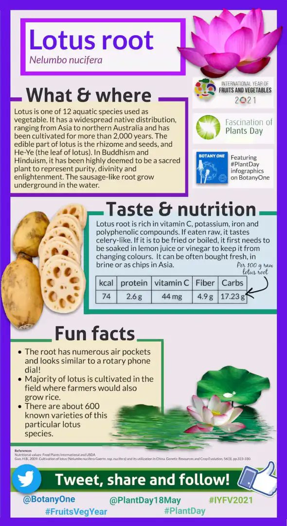 Wishing Everyone the Happiest of Fascination of Plants Day (#FoPD22 ) from Australia!!! 🌱🌺🫐 Time to look back on the gorgeous #PlantDay infographics since 2018: 2020 #PlantHealth edition: juniperkiss.com/post/plant-hea… 2021 @botanyone ed: botany.one/2021/05/fascin… @PlantDay18May