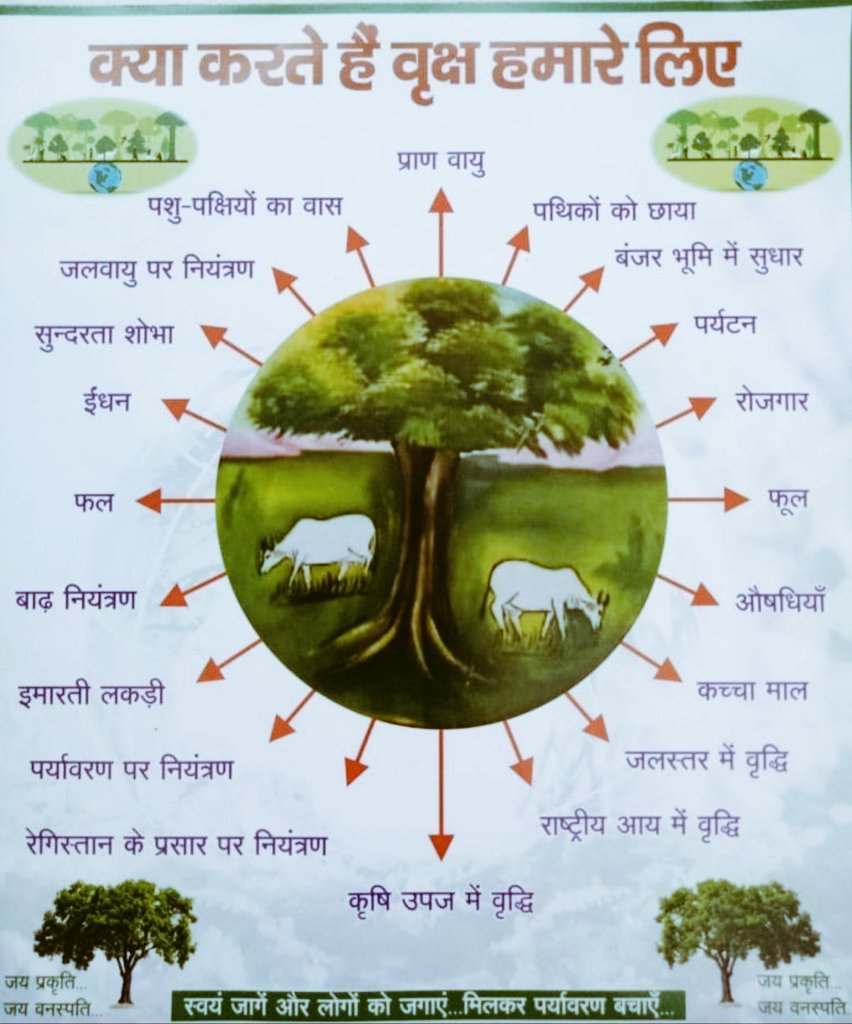 JATs_Land's tweet photo. पूरे भारत में तुरन्त 500 करोड़ नए पेड़ लगाकर उनकी देखभाल करने की जरूरत है।
अन्यथा तापमान 50° पार पहुंचने को है।
#PlantTrees #SaveForests
#SaveEnvironment #SaveClimate https://t.co/9RmgJzeuKE