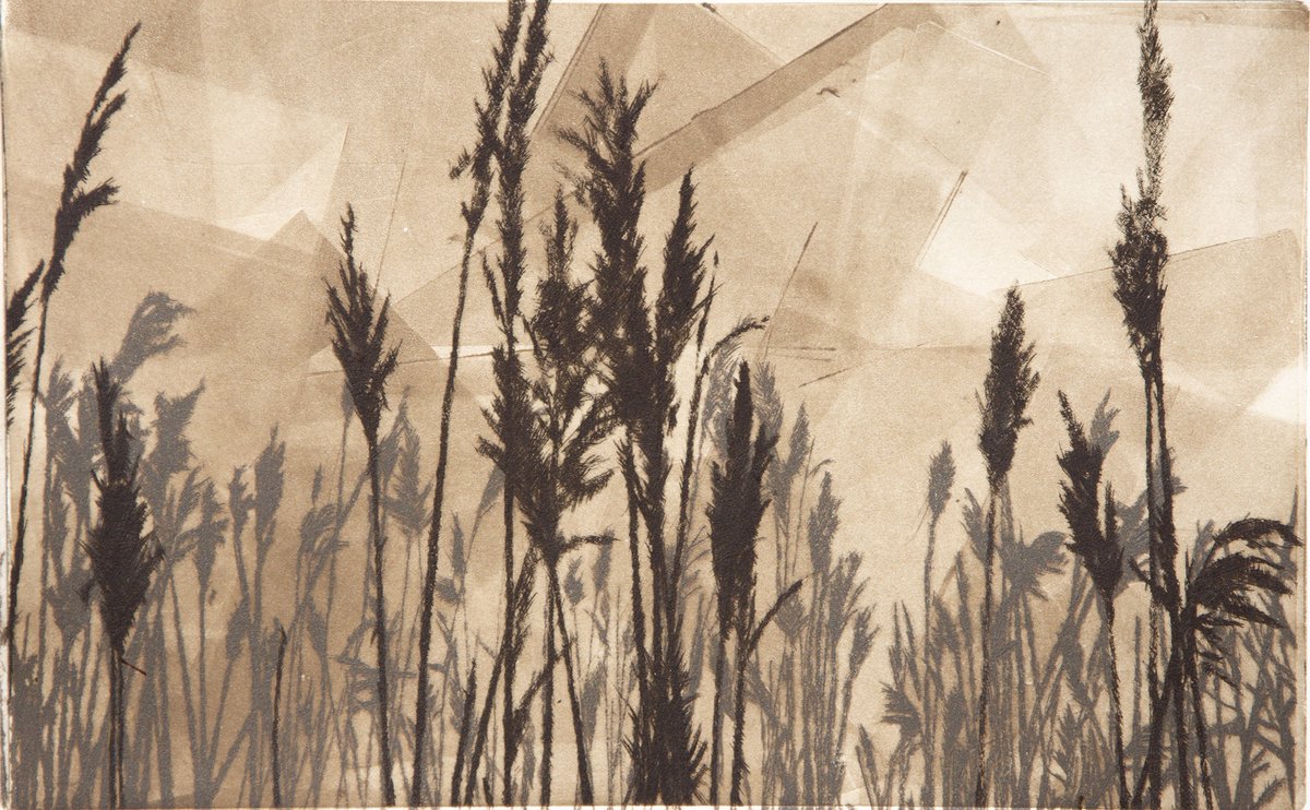 SuffolkCraftSoc's tweet photo. Meet the Makers event this Saturday 10-4, at #RSPBMinsmere! The Spreading Our Wings group from #suffolkcraftsociety are looking forward to sharing their work in progress...all inspired by Minsmere! https://t.co/LEd6IqOMyH