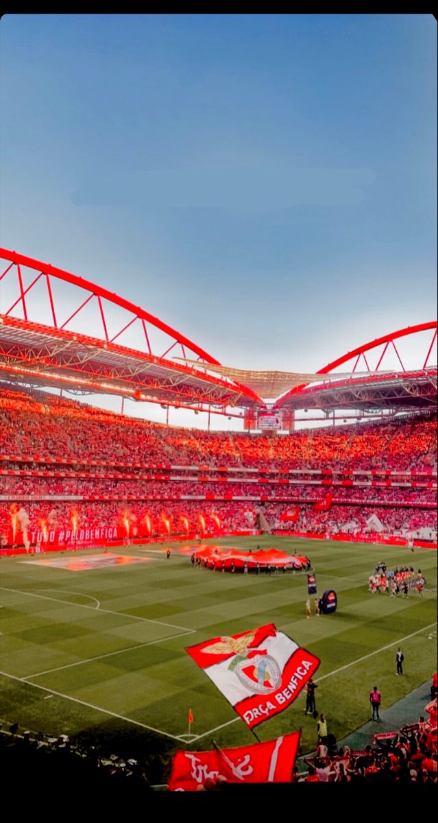 marialsousaa's tweet photo. Simplesmente o estádio mais lindo de Portugal🤍 https://t.co/2jNUrAbDlx