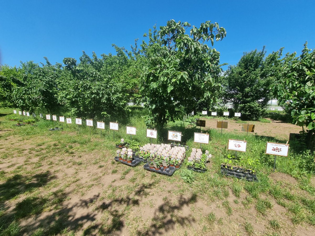 Richard Hemmer | @richard@hemmer.land tweet media