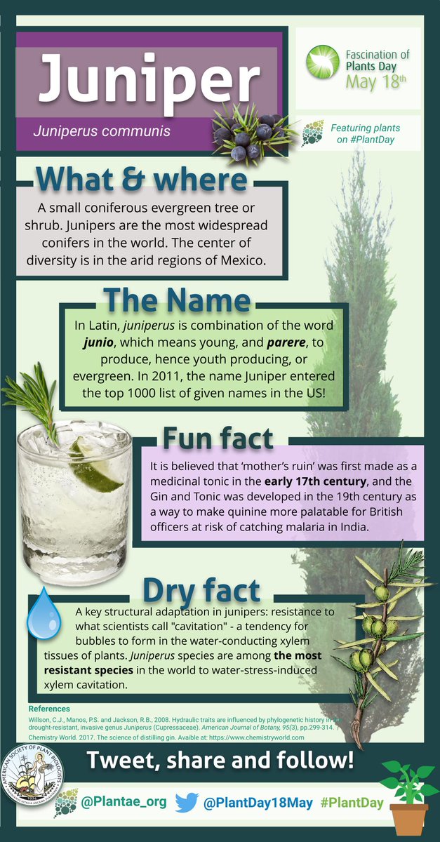 I absolutely love making these infographics! 🌱👩‍🎨🎨 I am happy to share the @lucidpress template with anyone who would like to DIY one! #PlantDay #FoPD22 @PlantDay18May