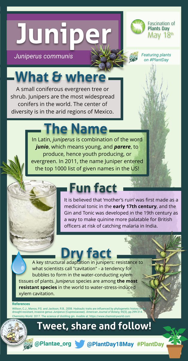 Juniper Kiss 🇪🇺🌿👩‍🔬 tweet media
