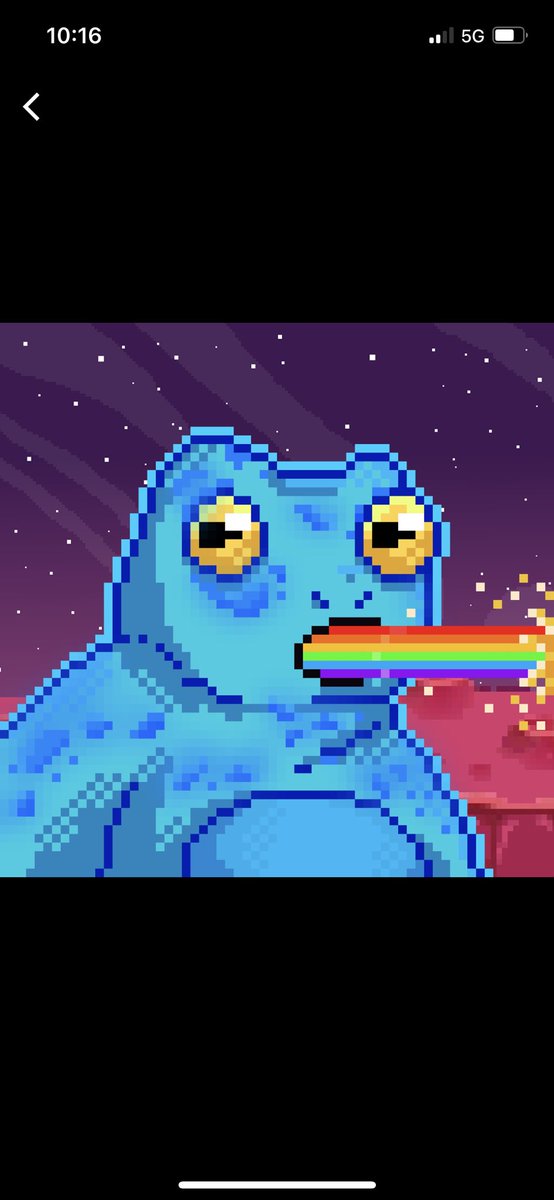 Stone Toad Steve Sketty tweet media