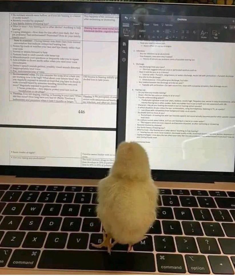 9_3xioo's tweet photo. Me rn https://t.co/KWCn9fQHFc
