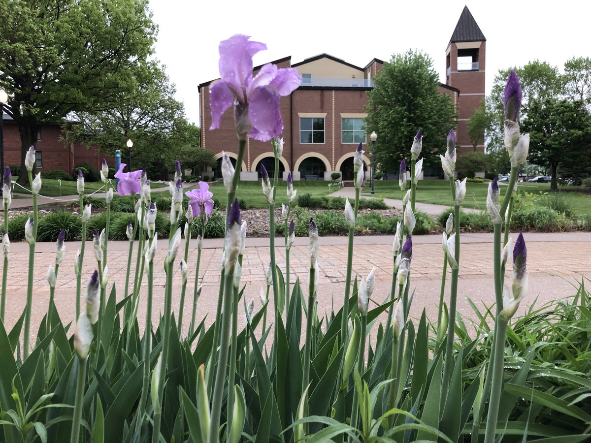 A very good morning! Its tiny bit drizzling and is cloudy !
(Photo at 6.50 am this morning) 
-- Web: sau.edu/library
<a href="/SAULib/">St. Ambrose University Library</a> hours are, 
-Wed.- Thu. May 18-19
7:45 a.m. - 10 p.m.
-Fri. May 20
7:45 a.m. - 5 p.m.
-Sat. - Sun. May 21-22
CLOSED
May 21-22
