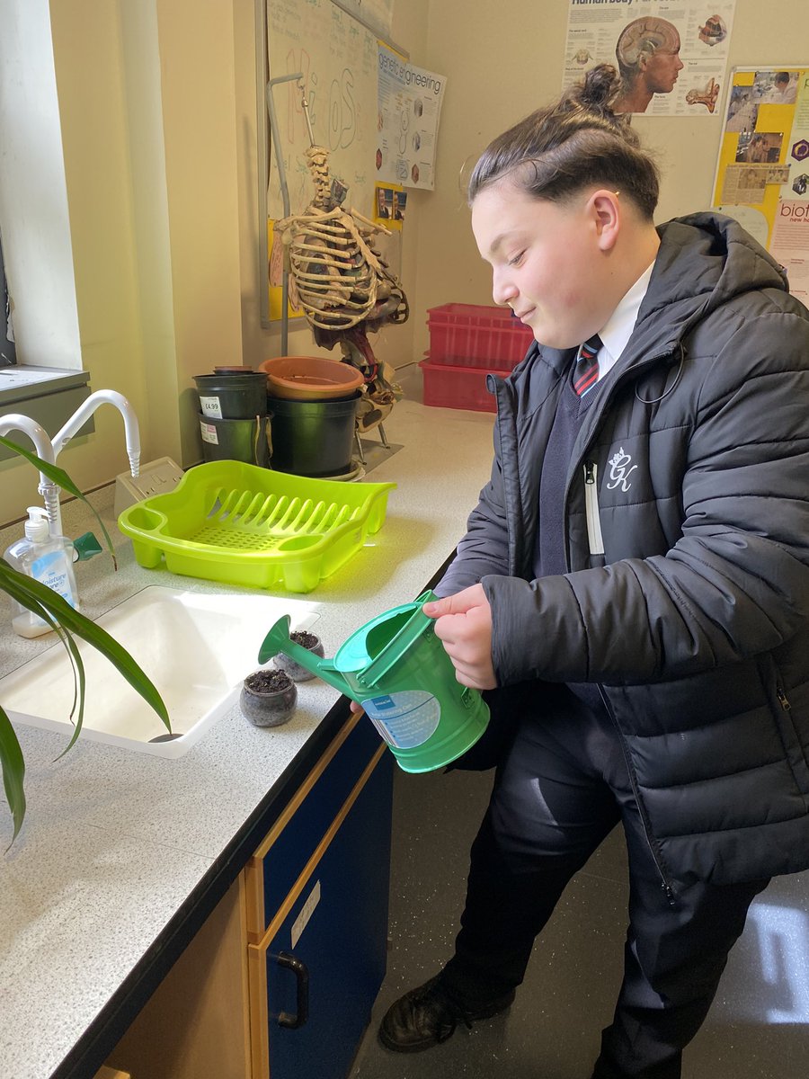 EcoGhs's tweet photo. Gleniffer Eco Committee today looking after the seedlings they planted and working on the environmental review #gleniffergoesgreen https://t.co/WopbzAZ5JM
