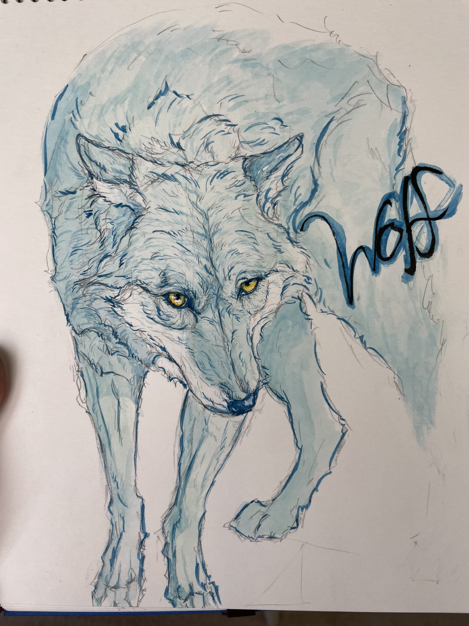 おおかみさん Ookamishop Wolf Twitter