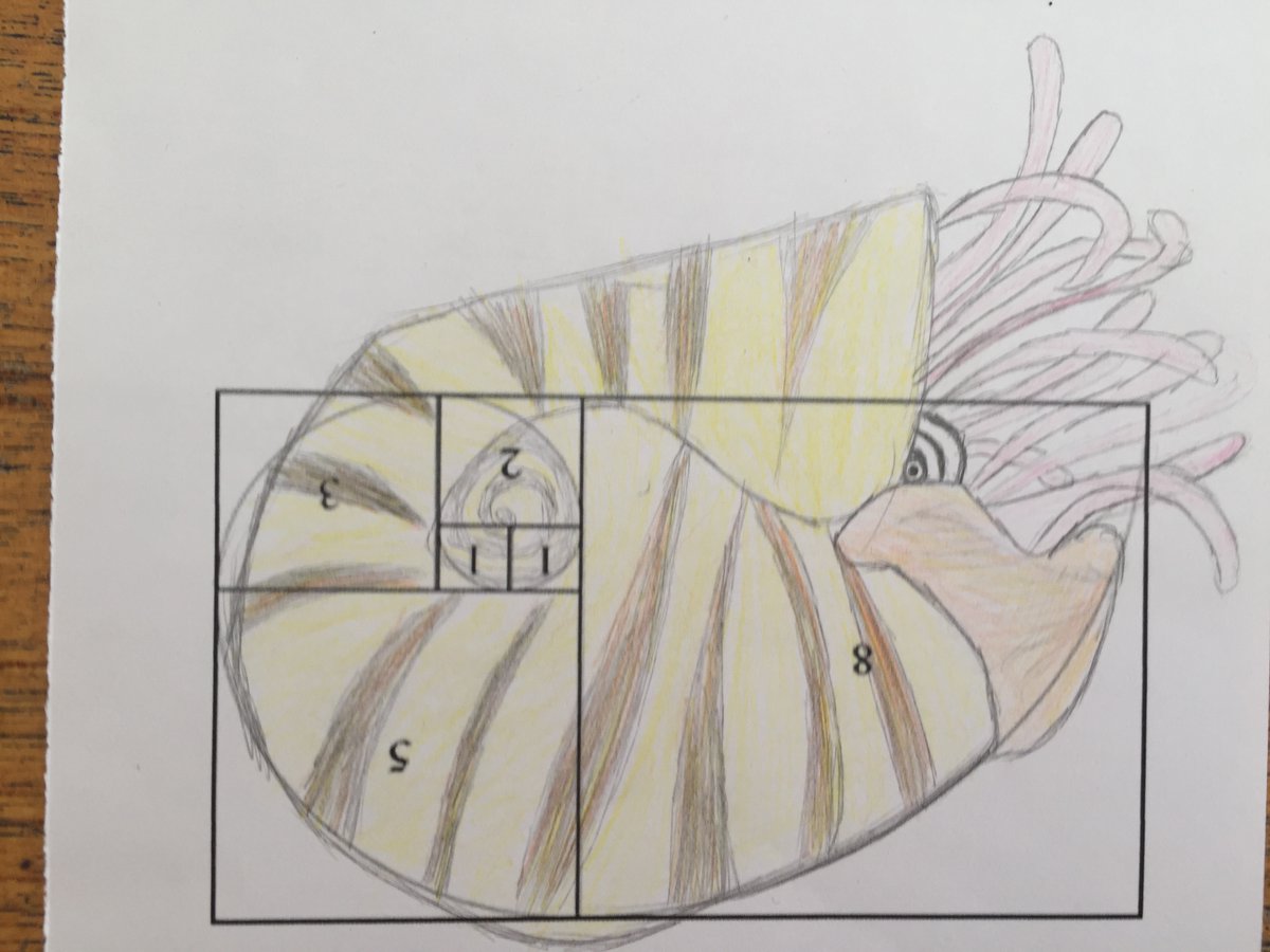 WoodmillMaths's tweet photo. The Fibonacci art work from Mrs Thomson’s 2Y class @WoodmillHigh for #NationalNumeracyDay was excellent. #WeAreWoodmill #WeLearnWeRespectWeSucceed https://t.co/HAokQNCHTa