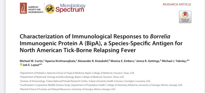 Álvaro A. Faccini-Martínez tweet media